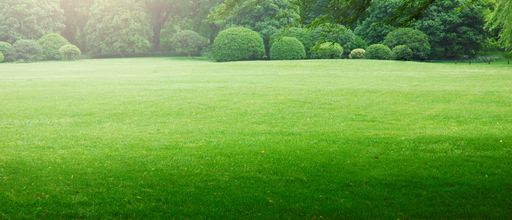 Lawn Leveling