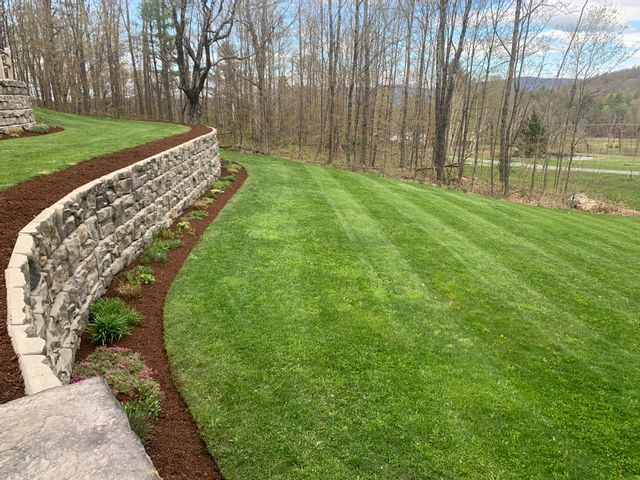 Healthy Mowed Lawn