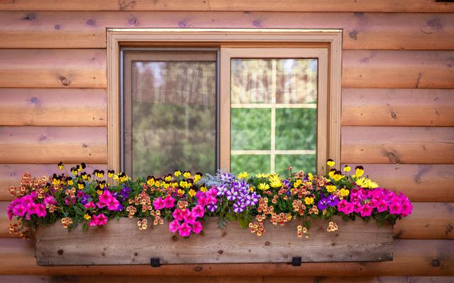 Flower Baskets on a Fense