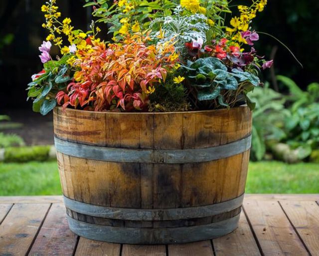 Flower Pots on a Deck