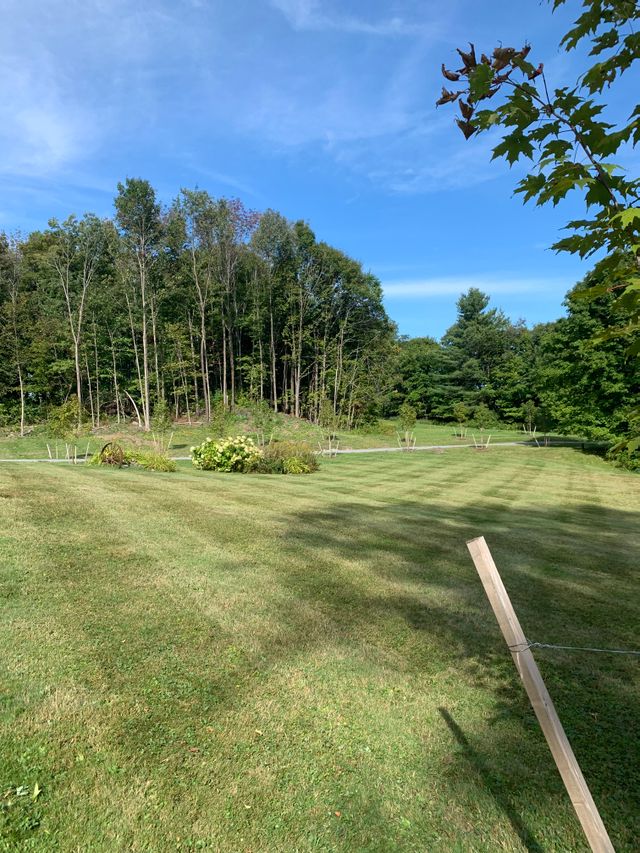Mowed Meadow